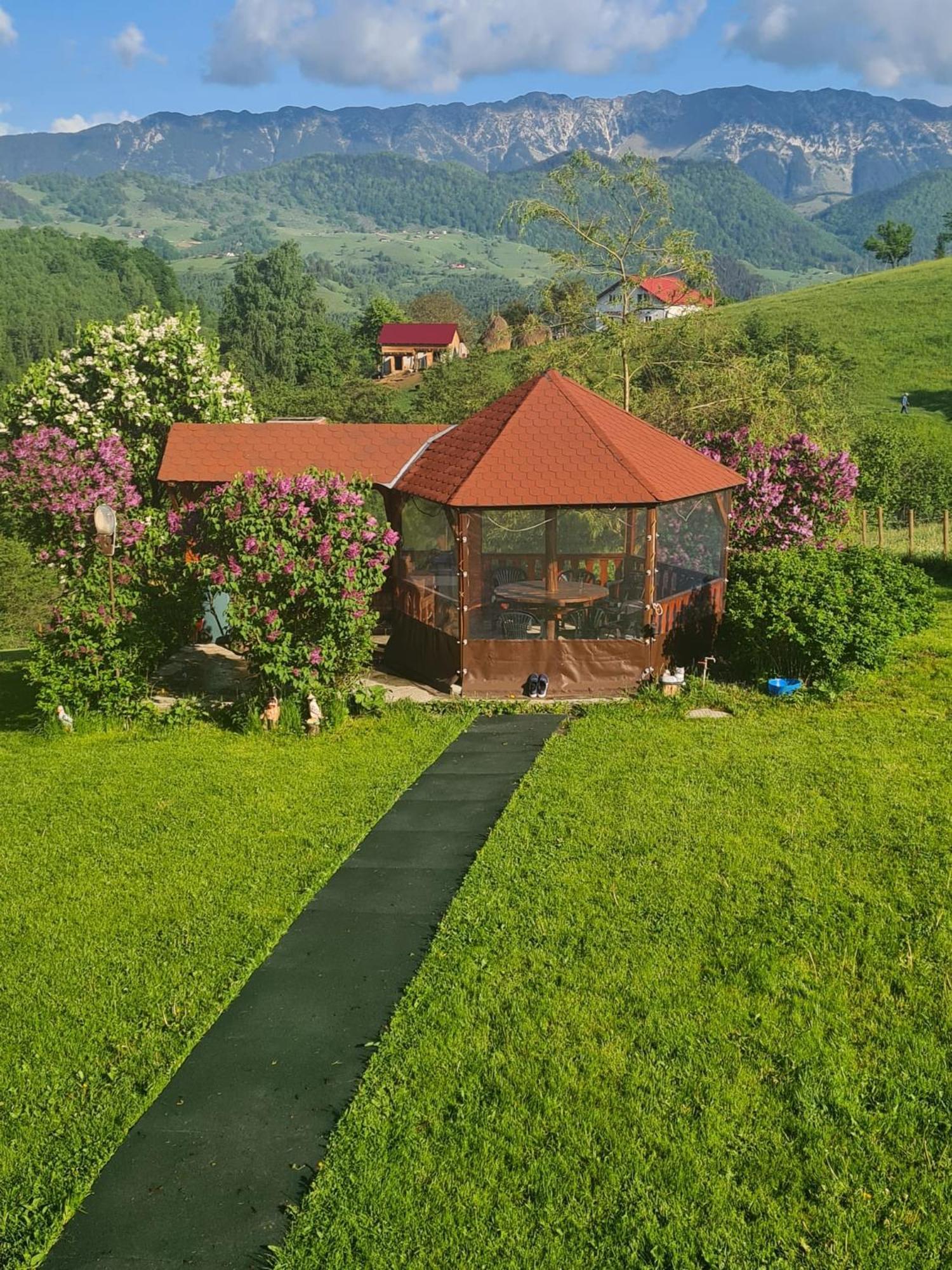 Nona Highland Home Moieciu de Jos Extérieur photo